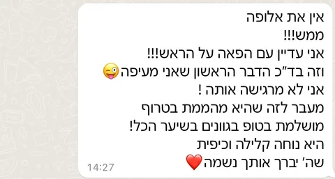 המלצה של לקוחה בוואטסאפ, 12